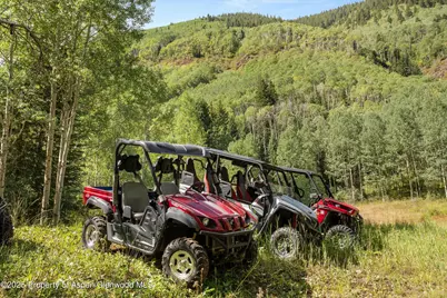 9555 Castle Creek Road, Aspen, CO 81611 - Photo 41