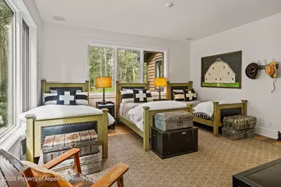 9555 Castle Creek Road, Aspen, CO 81611 - Photo 23