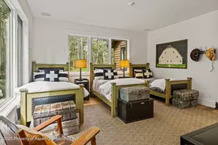 9555 Castle Creek Rd, Aspen, CO 81611 - Photo 23