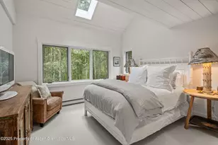 9555 Castle Creek Rd, Aspen, CO 81611 - Photo 29