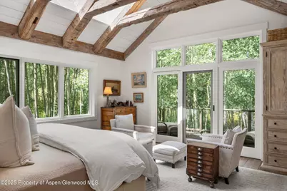 9555 Castle Creek Road, Aspen, CO 81611 - Photo 15