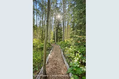 9555 Castle Creek Road, Aspen, CO 81611 - Photo 33