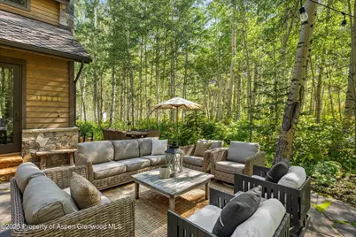 9555 Castle Creek Road, Aspen, CO 81611 - Photo 5