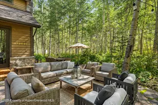 9555 Castle Creek Rd, Aspen, CO 81611 - Photo 5