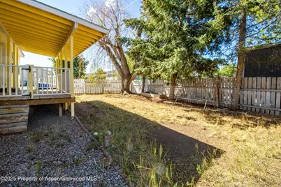 161 James Circle, ElJebel, CO 81623 - Photo 23