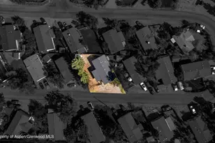 161 James Cir, ElJebel, CO 81623 - Photo 19