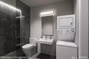 175 Midland Ave, Basalt, CO 81621 - Photo 11