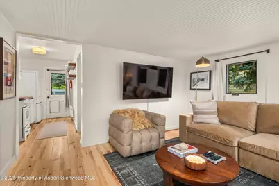 500 W Francis Street #Carriage House, Aspen, CO 81611 - Photo 7