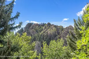 500 W Francis St, Aspen, CO 81611 - Photo 7