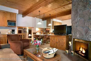 301 E Hyman Ave, Aspen, CO 81611 - Photo 15