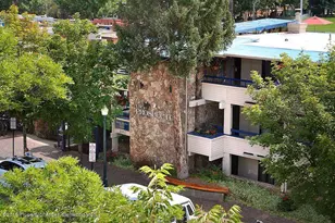 301 E Hyman Ave, Aspen, CO 81611 - Photo 17