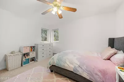 196 Dakota Meadows Drive, Carbondale, CO 81623 - Photo 19