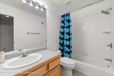 196 Dakota Meadows Drive, Carbondale, CO 81623 - Photo 17