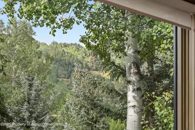 926 Waters Avenue #301, Aspen, CO 81611 - Photo 15