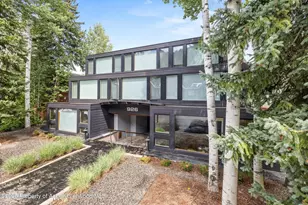 926 Waters Ave, Aspen, CO 81611 - Photo 13