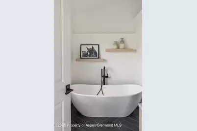 155 Nighthawk Drive, Aspen, CO 81611 - Photo 15