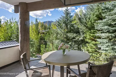 155 Nighthawk Drive, Aspen, CO 81611 - Photo 27