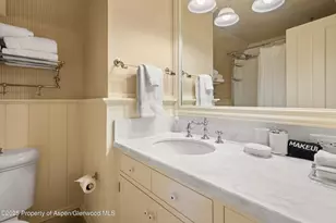 200 W Hopkins Ave, Aspen, CO 81611 - Photo 23