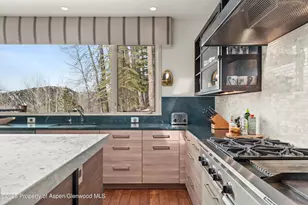 153 Herron Hollow Dr, Aspen, CO 81611 - Photo 25