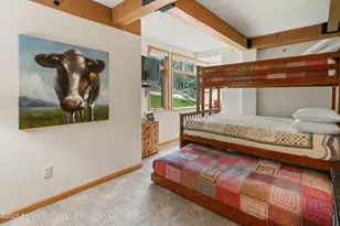 600 Carriage Way, Snowmass Village, CO 81615 - Photo 19