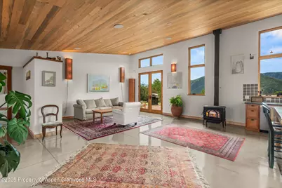 320 Hawk Lane, Basalt, CO 81621 - Photo 9