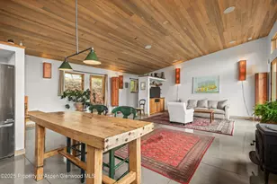 320 Hawk Ln, Basalt, CO 81621 - Photo 13