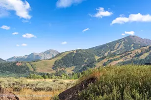 245 Slalom Path, Aspen, CO 81611 - Photo 33