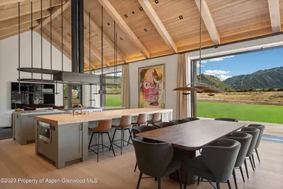 245 Slalom Path, Aspen, CO 81611 - Photo 11