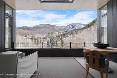 276 Coach Road, Aspen, CO 81611 - Photo 45