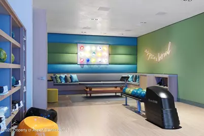 276 Coach Road, Aspen, CO 81611 - Photo 27