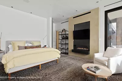 276 Coach Road, Aspen, CO 81611 - Photo 19