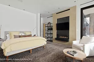 276 Coach Rd, Aspen, CO 81611 - Photo 19