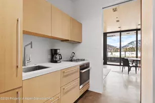 276 Coach Rd, Aspen, CO 81611 - Photo 53