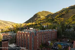 315 E Dean St, Aspen, CO 81611 - Photo 17