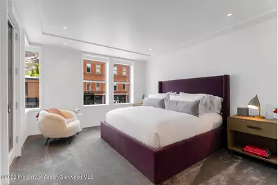 508 E Cooper Avenue #Unit 201, Aspen, CO 81611 - Photo 31