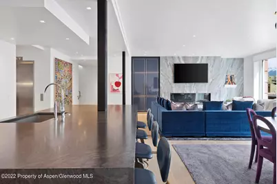 508 E Cooper Avenue #Unit 201, Aspen, CO 81611 - Photo 9