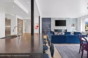 508 E Cooper Ave, Aspen, CO 81611 - Photo 9