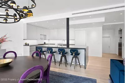 508 E Cooper Avenue #Unit 201, Aspen, CO 81611 - Photo 15