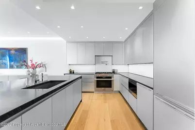 508 E Cooper Avenue #Unit 201, Aspen, CO 81611 - Photo 19