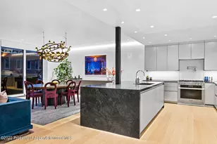 508 E Cooper Ave, Aspen, CO 81611 - Photo 17