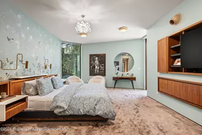 701 Gibson Avenue, Aspen, CO 81611 - Photo 15