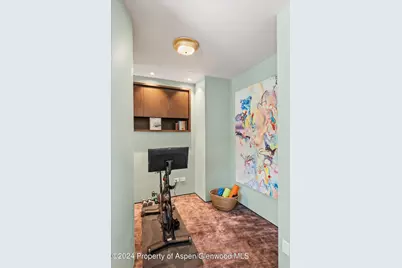 701 Gibson Avenue, Aspen, CO 81611 - Photo 21