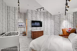701 Gibson Ave, Aspen, CO 81611 - Photo 41