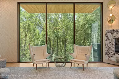 701 Gibson Avenue, Aspen, CO 81611 - Photo 7