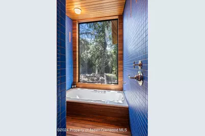 701 Gibson Avenue, Aspen, CO 81611 - Photo 19