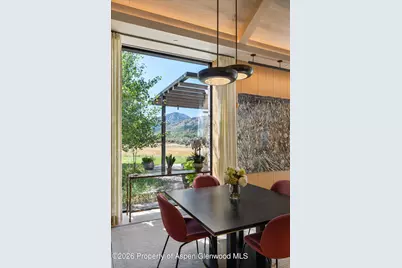 89 Slalom Path, Aspen, CO 81611 - Photo 59