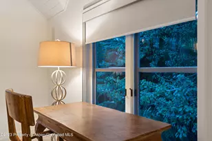 901 Ute Ave, Aspen, CO 81611 - Photo 29