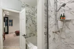 901 Ute Ave, Aspen, CO 81611 - Photo 33