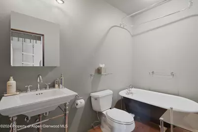 931 N Hayden Road, Aspen, CO 81611 - Photo 33