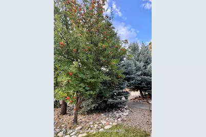 228 N 7th Street, New Castle, CO 81647 - Photo 15